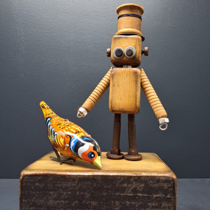 Harry And His Little Bird Small Robot